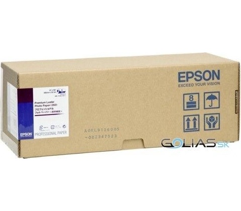 EPSON S042079