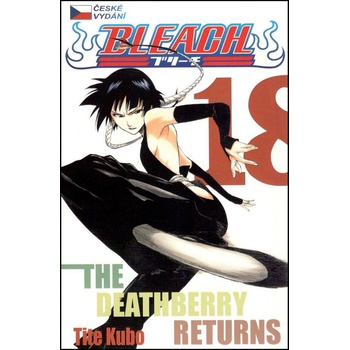 Bleach 18