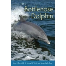 Bottlenose Dolphin