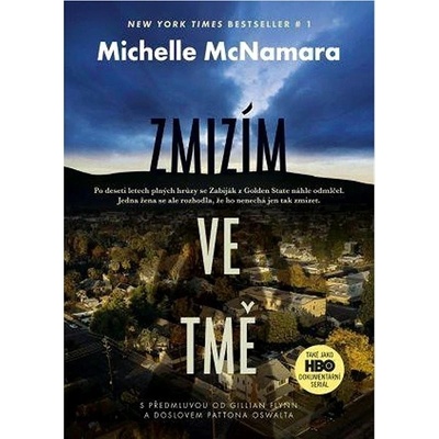 Zmizím ve tmě - McNamara Michelle