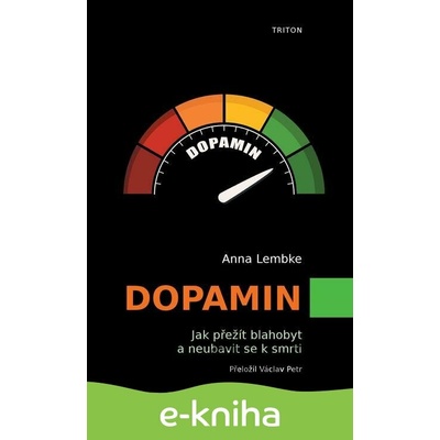 Dopamin - Anna Lembke