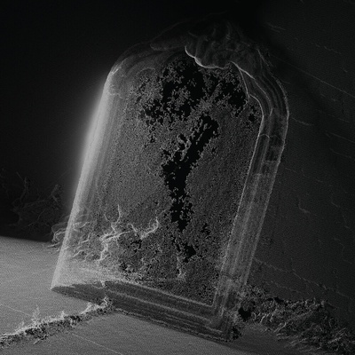Visible Cloaks - PARADESSENCE LP