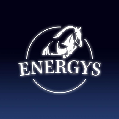 Energys Mash bez obilí 20 kg – Zboží Dáma