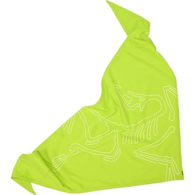 Arcteryx Sinsolo zelená