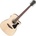 Ibanez V40CE-OPN
