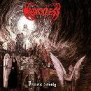 MERCILESS - PATHETIC DIVINITY CD