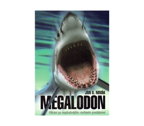 Megalodon