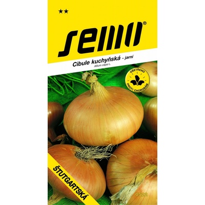 Semo cibule kuchyňská - jarní Štuttgartská 2 g