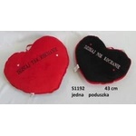 SUN-DAY Heart pillow TODAY YES / TODAY NO 137333