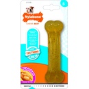 Nylabone Kost Puppybone 1 ks