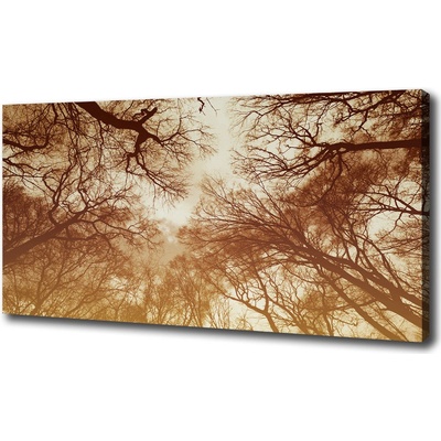 Foto obraz tlačený na plátne Les 100x50 cm