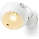 RENDL R13893