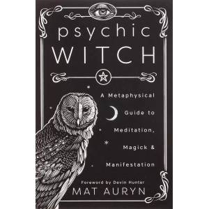 Psychic Witch (ISBN: 9780738760841)
