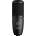 AKG P 120