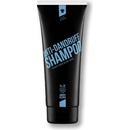 Angry Beards Bush Shaman šampóon proti lupinám 230 ml