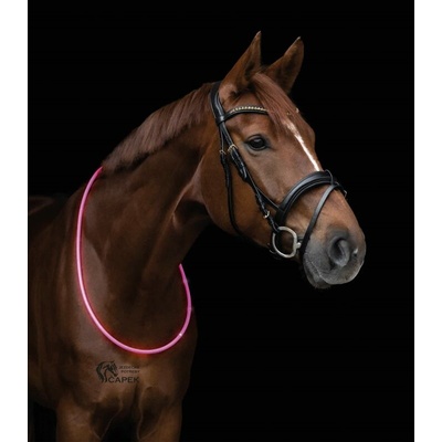 Waldhausen Svítící obojek LED Zelená – Zboží Mobilmania