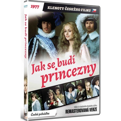 JAK SE BUDÍ PRINCEZNY DVD
