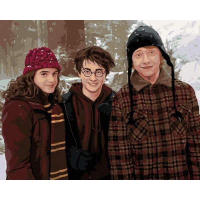 Malování podle čísel Harry Potter Hermiona a Ron v zasněžené krajině