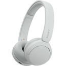 Sony WH-CH520N