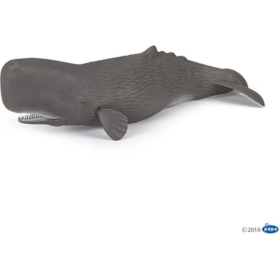 Papo - Фигурка Sperm Whale 56036