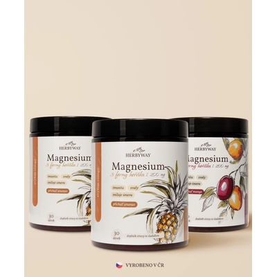 Herbs Energy Magnesium Drink Ananas 2 x 30 dávek + Magnesium Drink Mango 30 dávek