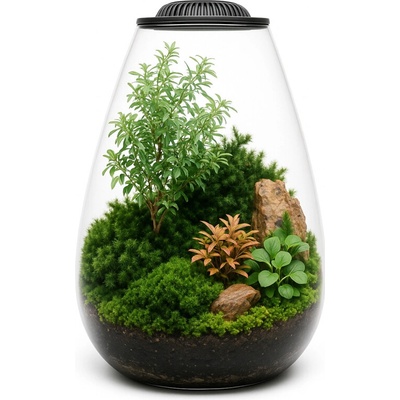 Invital MicroTerrarium 6 l