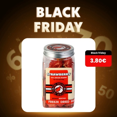 Kiwi Walker Mrazom sušené jahody 25 g