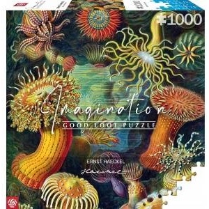 Good Loot Puzzle 1000 Ernst Haeckel: Sea Creatures