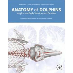 Anatomy of Dolphins | Bruno Cozzi, Stefan Huggenberger, Helmut OelschlĂ¤ger (ISBN: 9780124072299)