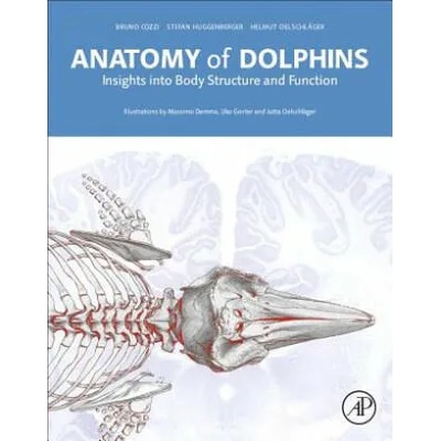 Anatomy of Dolphins | Bruno Cozzi, Stefan Huggenberger, Helmut OelschlĂ¤ger