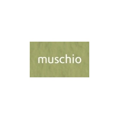Tiziano umělecký papír A4 160g muschio