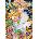 KS Games - Puzzle Trully: Secret garden - 1 500 piese