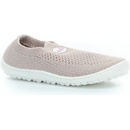 Leguano Leguanito Scio rose