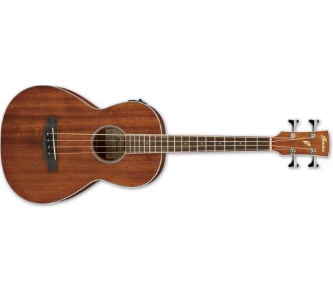 Ibanez PNB14E