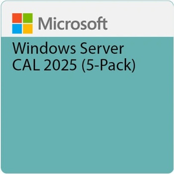 Microsoft Windows Server CAL 2025 ENG (EP2-25279)