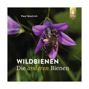 Wildbienen die anderen Bienen | Paul Westrich (ISBN: 9783818620868)