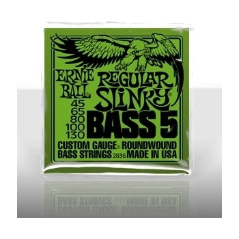 Ernie Ball P02836