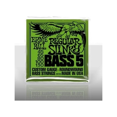 Ernie Ball P02836