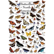 Masterpieces Butterflies of North America 1000 dielov