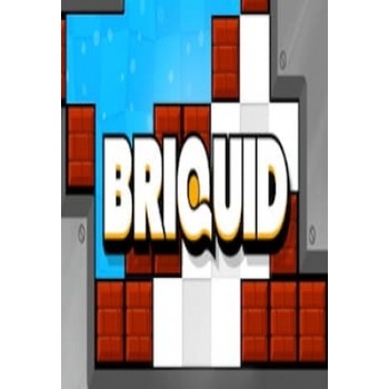 Briquid