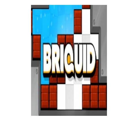 Briquid