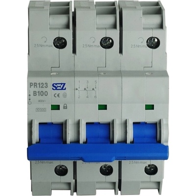 SEZ PR123 B 100/3/B 15kA