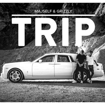 MAJSELF & GRIZZLY - TRIP CD