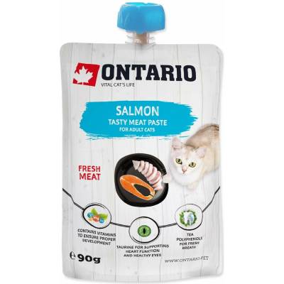Pasta Ontario losos 90 g