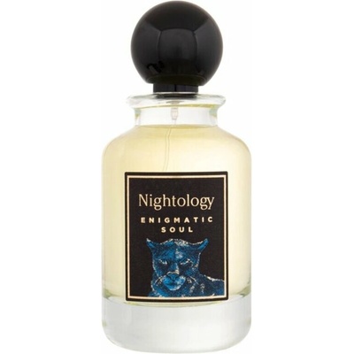 Nightology Enigmatic Soul parfémovaná voda unisex 100 ml