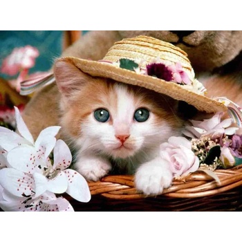 Norimpex - Puzzle Diamant painting: Kitten with a straw hat 30x40 cm - 1 - 39 piese