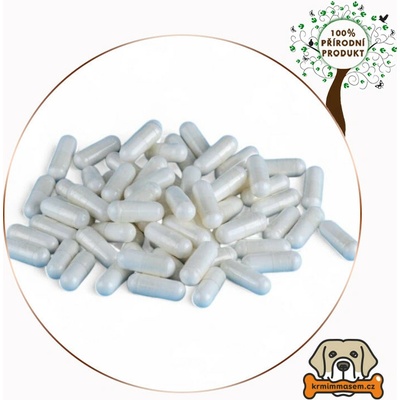 Boswellia serrata kapsle 550mg - 150 ks