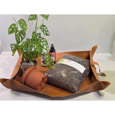 PlantBros flower Monstera Adansonii Care Kit – kompletný pestovateľský set