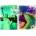 Grafika Art Puzzle - Puzzle Travel around the World - USA - 2 000 piese