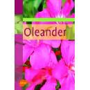 Oleander